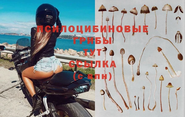 2c-b Абинск