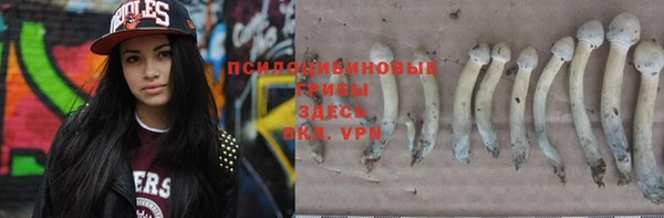 Альфа ПВП Абаза